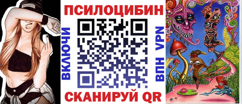 Галлюциногенные грибы Psilocybe  Сельцо 